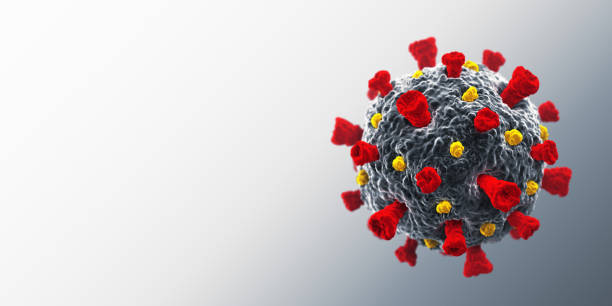 what is in the coronavirus vaccine - cdc hep b vaccine patient handout